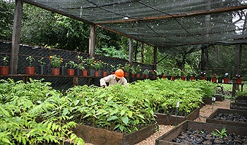 Committed to Sustainability